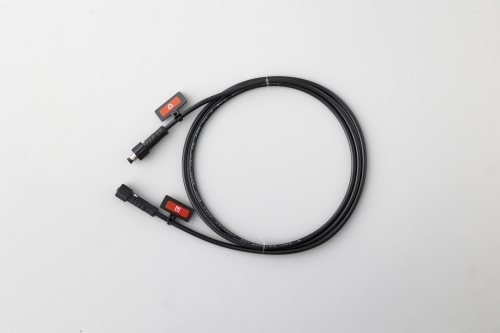 Module Cable 1 m
